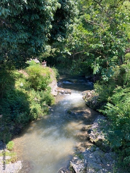 Fototapeta 郊外の川