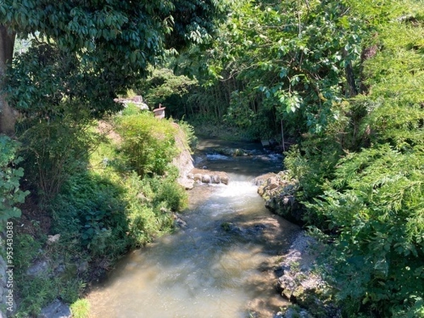 Fototapeta 郊外の川