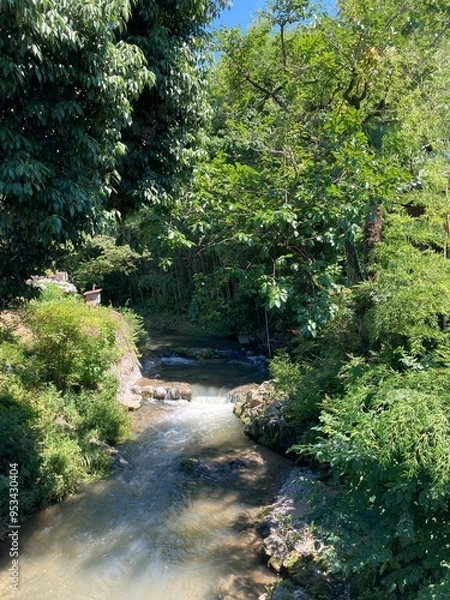 Fototapeta 郊外の川