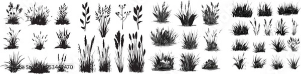 Obraz Charcoal doodle scribble in showcasing grass silhouettes wildflower meadow plants cattail reeds bushes creating a botanical illustration for nature landscape garden decorations