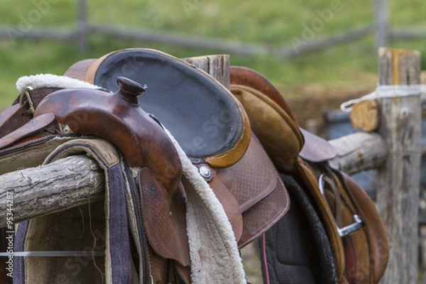 Obraz horse saddle