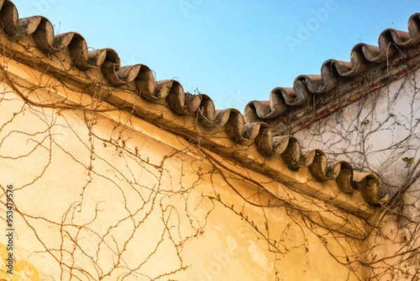 Obraz Typical roof of Italian Tuscany house. Close up of a roof.