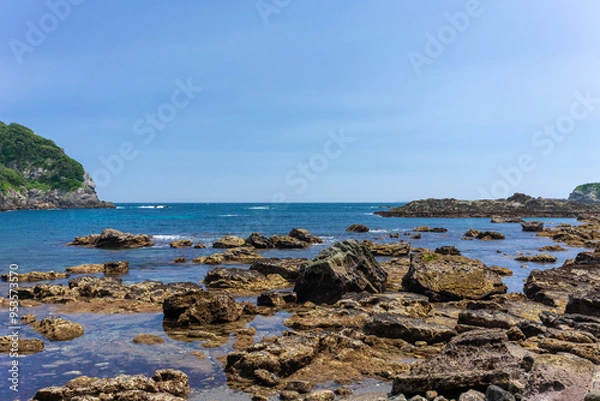 Obraz 磯（海辺）