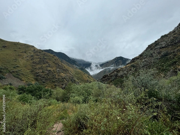 Fototapeta mountains, river, wood, trees, view, smoke