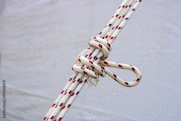 Obraz Types of rope tying. Hooks and ropes. Tying knots.