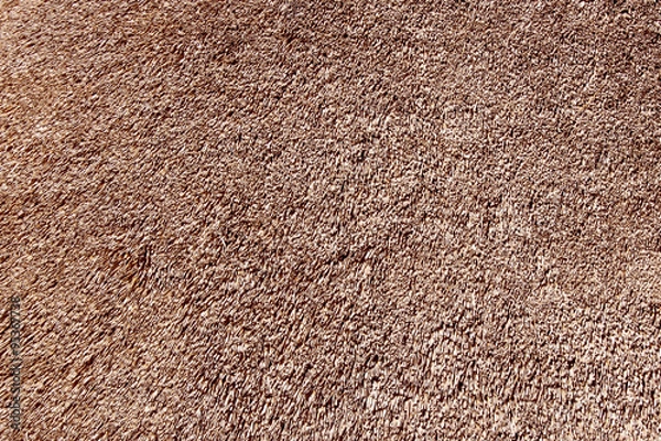 Obraz Texture de chaume