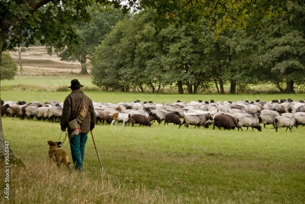 Obraz Pustać Lüneburska 080 922 026