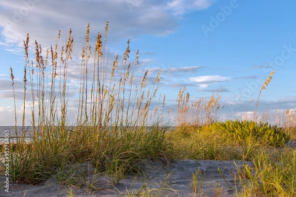 Obraz Sea Oats at Sunrise on the Beach