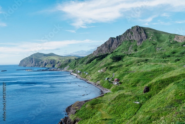 Obraz 礼文島の海岸線と青い海