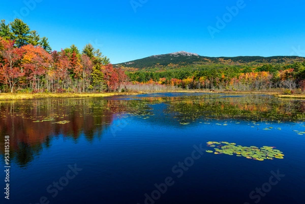 Obraz Fall colors and water pond near mount Monadnock