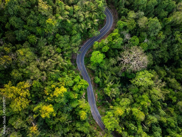 Fototapeta Aerial view of narrow street between woodland green forest , top birdeye's view from drone