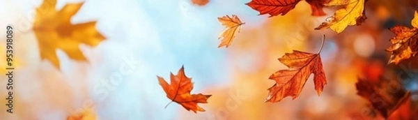 Fototapeta Crisp autumn day with leaves swirling in the wind, cool weather, fall colors