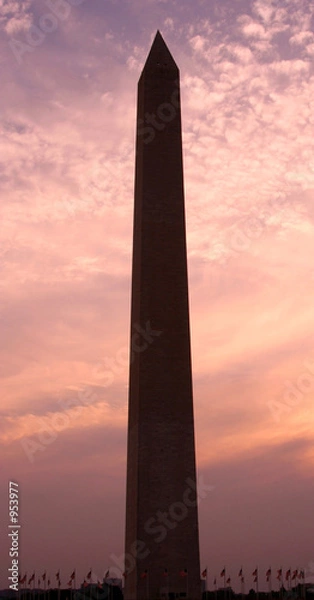 Fototapeta washington