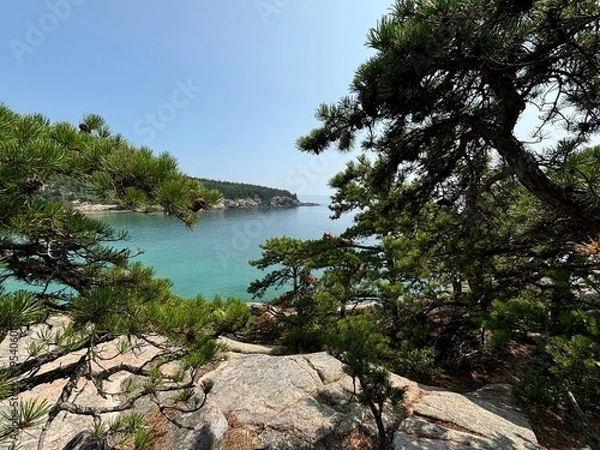 Obraz beach with palm trees
