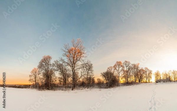 Obraz On the edge of the forest.