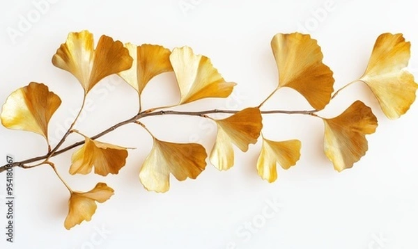 Fototapeta A gold leafy branch with leaves that are gold in color