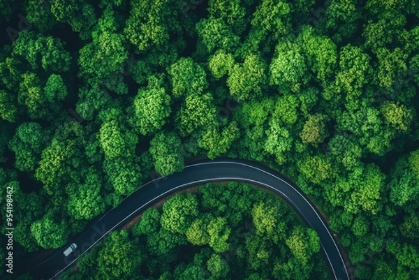 Fototapeta Aerial top view road in forest with car motion blur. Winding road through the forest. Car drive on the road between green forest. Ecosystem ecology healthy environment road trip , ai