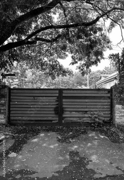 Fototapeta An old weathered wooden garage  entrance gate with fallen rotting leaves in the foreground.  