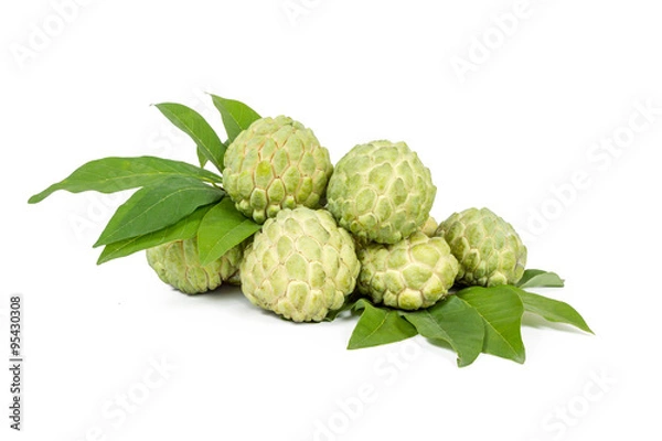 Fototapeta Pile of Custard apple isolated on white backgroud