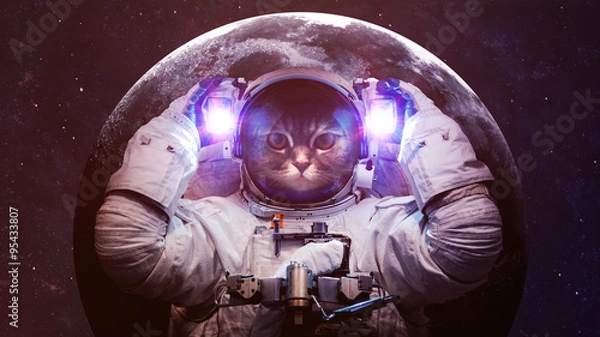 Obraz Piękny kot w kosmosie. Elementy tego zdjęcia dostarczone przez NASA