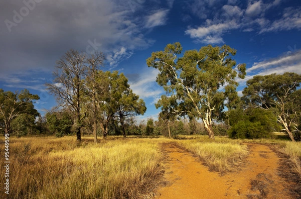 Obraz Fork in the Road