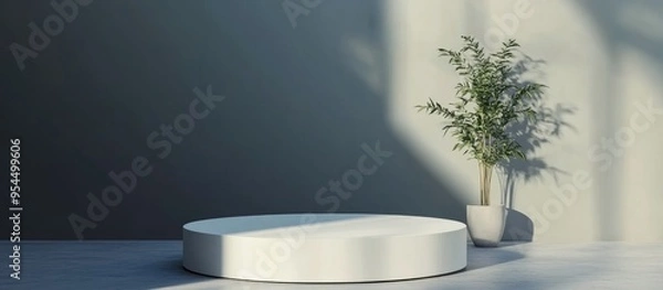Fototapeta White pedestal against a gray backdrop with ample space for your decorative elements