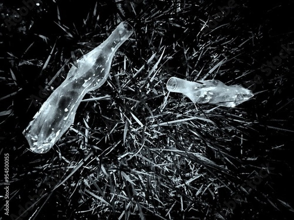 Obraz fish under water