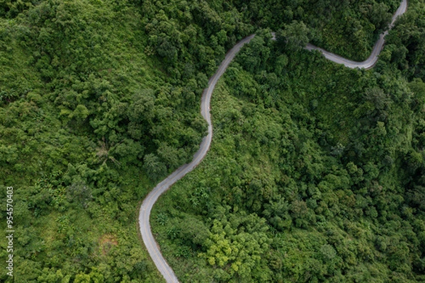 Fototapeta Aerial view on mountain road from drone of road in the middle of the forest in rainy day in spring, green foliage in empty asphalt road through the mountains.