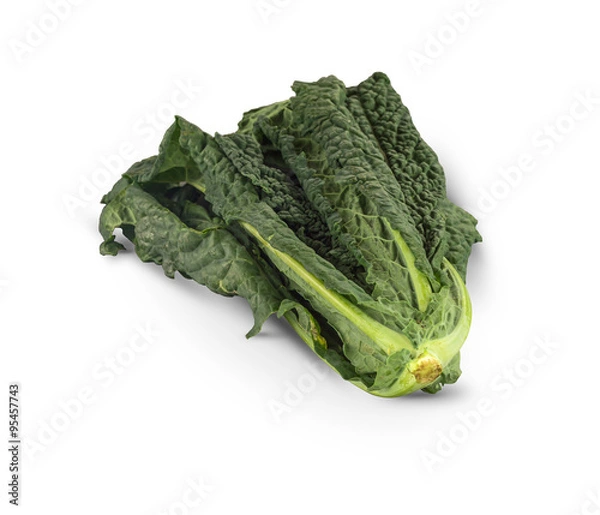 Obraz Organic Cavalo nero Cabbage