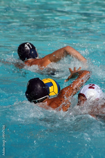Fototapeta water polo action