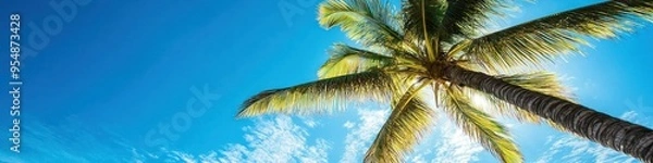 Fototapeta Coconut palm tree against a blue sky background, creating a serene and tropical atmosphere. Banner.