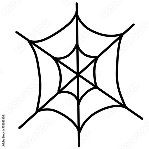 Obraz Spider web