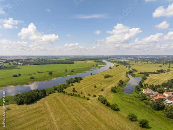Obraz Elbe landscape on the Elbe river near Lutherstadt Wittenberg