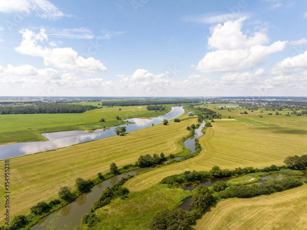 Obraz Elbe landscape on the Elbe river near Lutherstadt Wittenberg