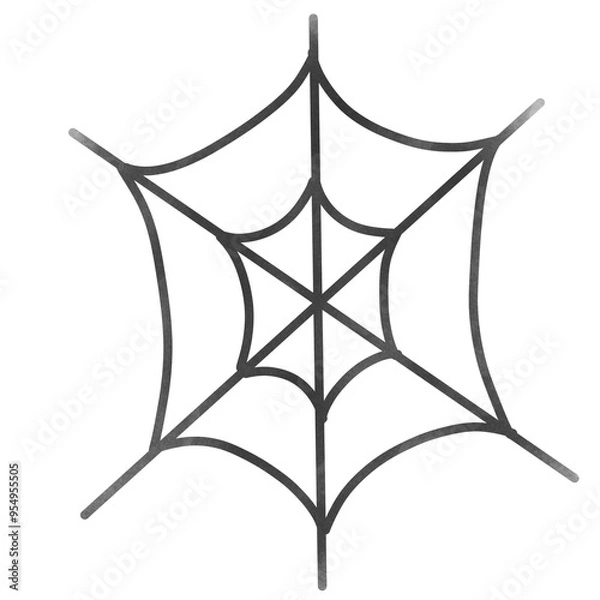 Obraz Spider web