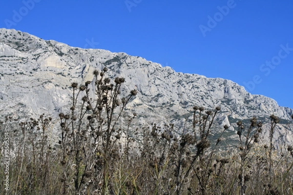 Obraz sainte victoire