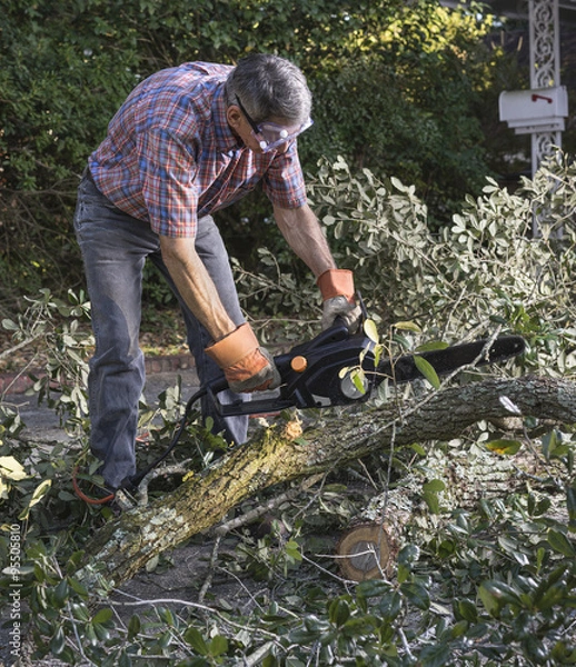 Fototapeta Man Cutting Tree Branches with Chainsaw