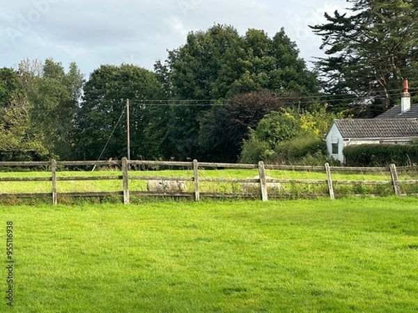Obraz Farm fields in the English countryside
