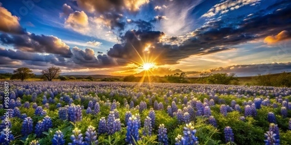 Obraz Backlit Bluebonnet field at sunset, warm light casting a golden glow, whimsical clouds drifting lazily across the sky, a realistic photo image.