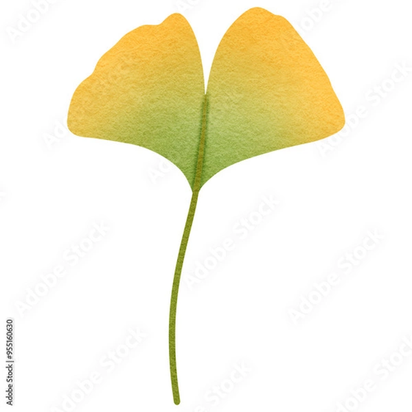 Obraz Ginkgo Biloba Leaf