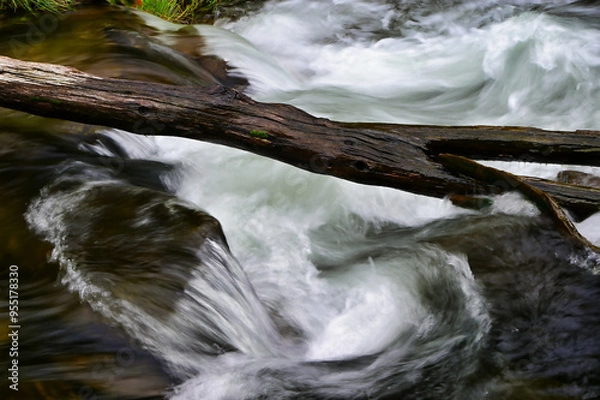 Obraz stream in the forest