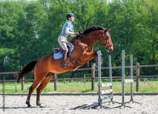Fototapeta Showjumping XVII