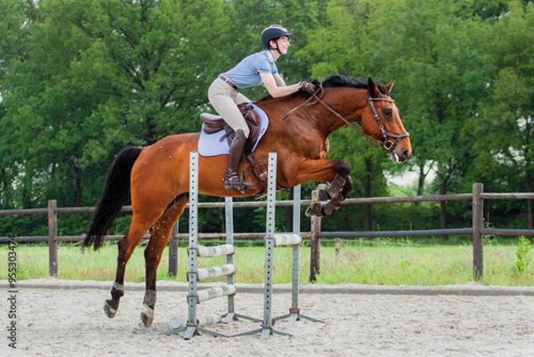 Obraz Showjumping XII