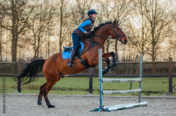 Fototapeta Showjumping X