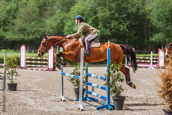 Fototapeta Showjumping IIX