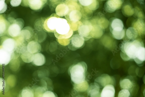 Fototapeta green blurred backdrop of nature, circle light wallpaper, white bokeh background