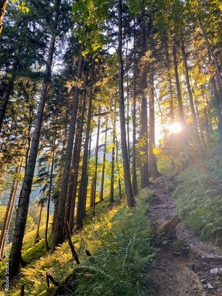 Fototapeta Sunrise Hike