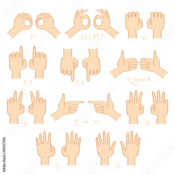 Obraz Hands (left and right) show numbers and directions vector set