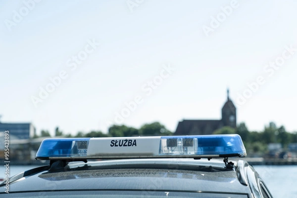 Obraz Sygnalizator świetlny pojazdu samochodowego