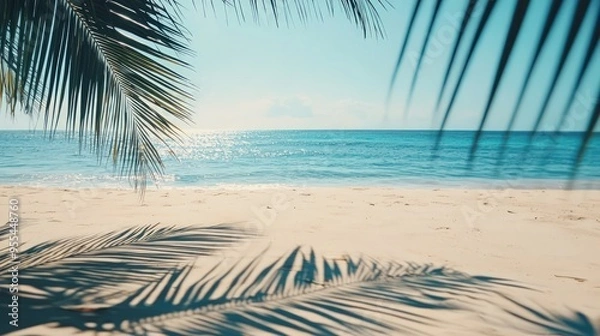 Fototapeta Loop video of palm leaf shadows on a sandy beach with blue ocean backdrop.